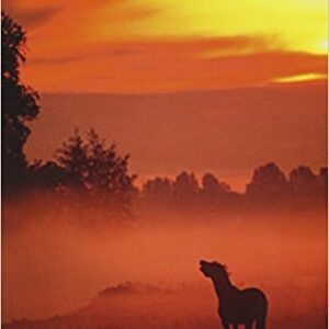 کتاب Penguin Reader's 4: The Red Pony